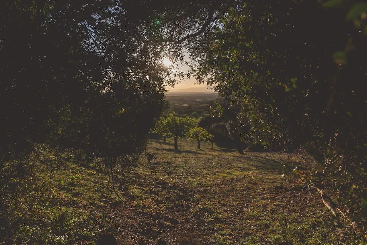 فندق Son Mesquida Vell ماناكور